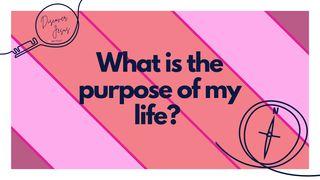 What Is the Purpose of My Life? Colossians 3:2 New Living Translation