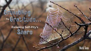 From Grumbling to Gratitude...Escaping Self-Pity's Snare Isaiah 55:3 New International Version
