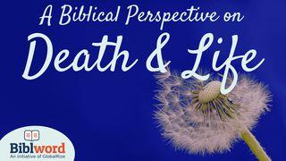 A Biblical Perspective on Death and Life Revelation 1:5 New International Version