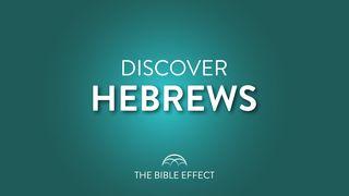 Hebrews Bible Study Hebrews 3:13 New International Version