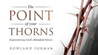 The Point of Your Thorns: Empowered by God’s Abundant Grace 2 Timothy 4:13 New International Version