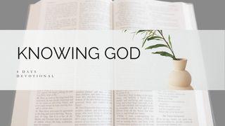 Knowing God John 1:1-2 The Message