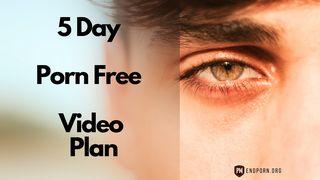 5 Day Porn Free Video Plan Psalms 119:1 New International Version