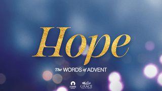 [The Words of Advent] HOPE John 1:10-11 New King James Version
