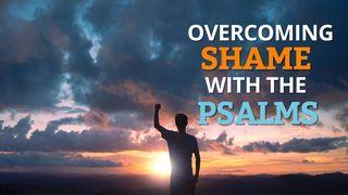 Navigating Shame With the Psalms Psalms 51:10 New International Version