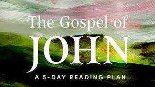 The Gospel of John: Savoring the Peace of Jesus in a Chaotic World John 1:29 The Passion Translation