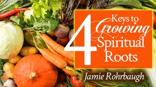 4 Keys to Growing Spiritual Roots Colossians 2:6 New International Version