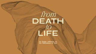From Death to Life Ephesians 2:18-22 New International Version