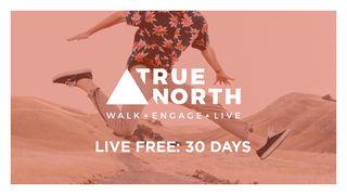 True North: LIVE Free 30 Days Revelation 12:7 New International Version