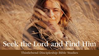 Seek the Lord and Find Him Psalms 119:11 New American Standard Bible - NASB 1995