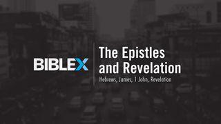 BibleX: The Epistles & Revelation  Revelation 12:7 New International Version
