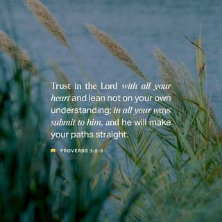 Proverbs 3:5-6 - Trust in the LORD with all your heart
And do not lean on your own understanding.
In all your ways acknowledge Him,
And He will make your paths straight.