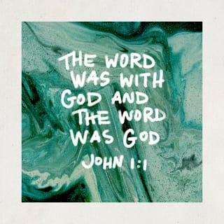 John 1:1 - In the beginning [before all time] was the Word (Christ), and the Word was with God, and the Word was God Himself. [Gen 1:1; Is 9:6]