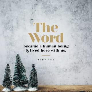 John 1:14 - The Word became a human and lived among us. We saw his glory—the glory that belongs to the only Son of the Father—and he was full of grace and truth.