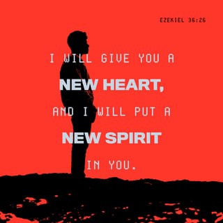 Ezekiel 36:26 - I will graciously give you a new, tender heart and put a new, willing spirit inside you. I will remove your hard heart of stone and give you an obedient, responsive heart instead.