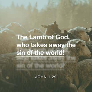 John 1:29 - The very next day, John saw Jesus coming to him to be baptized, and John cried out, “Look! There he is—God’s Lamb! He takes away the sin of the entire world!