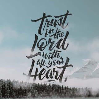 Proverbs 3:5-6 - Trust in the Lord completely,
and do not rely on your own opinions.
With all your heart rely on him to guide you,
and he will lead you in every decision you make.
Become intimate with him in whatever you do,
and he will lead you wherever you go.