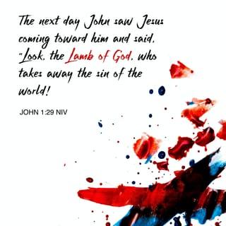 John 1:29 - The next day John saw Jesus coming toward him. John said, “Look, the Lamb of God, who takes away the sin of the world!