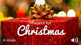 Prayers For Christmas John 1:17 New International Version