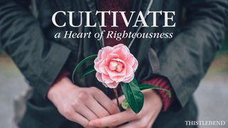Cultivate a Heart of Righteousness! Psalm 119:11 English Standard Version 2016