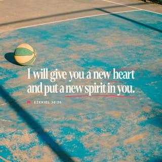 Ezekiel 36:26 - And I will give you a new heart, and I will put a new spirit in you. I will take out your stony, stubborn heart and give you a tender, responsive heart.