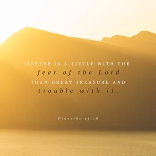 Proverbs 15:16 - Better to have little, with fear for the LORD,
than to have great treasure and inner turmoil.