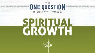 One Question Bible Study: Spiritual Growth